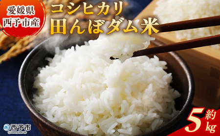 ＜令和7年産 愛媛県西予市産 コシヒカリ 田んぼダム米 5kg＞ 5キロ こしひかり 西予応援米 宇和米 お米 コメ こめ 白米 精米 米 国産 愛媛県産 宇和町産 和みファーム 愛媛県 西予市【常温】『2025年10月・11月頃から順次発送予定』UWN0001