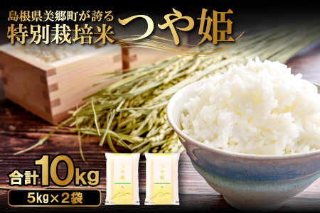 〈先行予約〉新米 令和6年産 美郷町産 特別栽培米 つや姫 10kg (5kg×2袋) 【お米 10kg 5kg×2袋 精米 白米 ブランド米 つや姫 特別栽培米 美郷町産 お米 先行予約 2024年産】