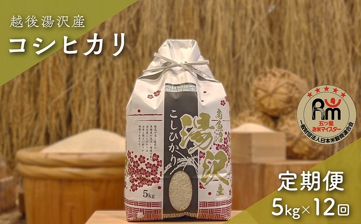 
            令和7年産【白米5kg/12回定期便】「五つ星お米マイスター」の精米【湯沢産コシヒカリ】
          