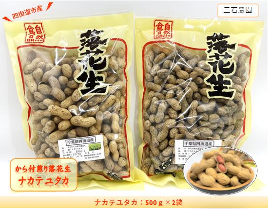 【ふるさと納税】から付煎り落花生 「ナカテユタカ」 500g×2袋 / 豆 から付 おつまみ