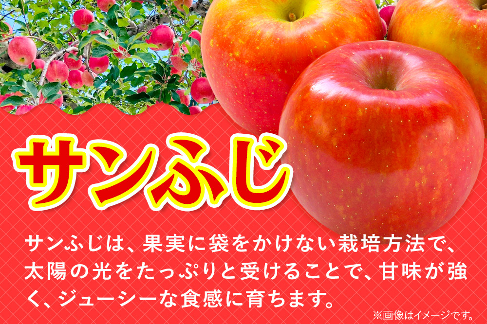 【26年3月発送】りんご 家庭用 訳あり サンふじ・王林 詰め合わせ 約10kg