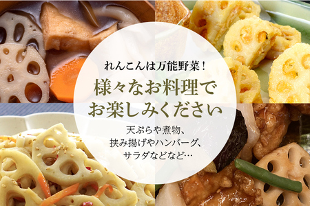 【数量限定・先行予約】 小美玉市小美玉市産れんこん（2箱）約8kg れんこん レンコン 蓮根 茨城 国産 お正月 おせち 野菜 17-AD ＜11月中旬～12月上旬発送予定＞