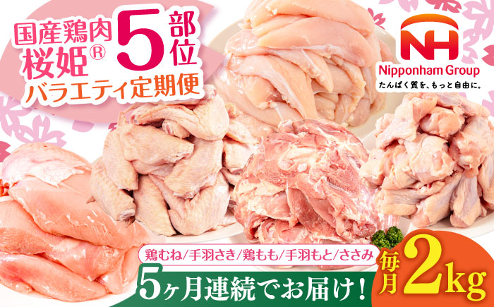 【全5回定期便】桜姫 バラエティ定期便 【東日本フード株式会社】[AXBM129] 冷凍 国産 国内産 鶏肉 鶏肉 鶏 とり肉 もも肉 むね肉 手羽 トリ ささみ セット 毎月 5カ月 連続 北海道