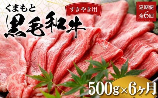 FKP9-557 【6カ月定期便】くまもと黒毛和牛 すきやき用 500g