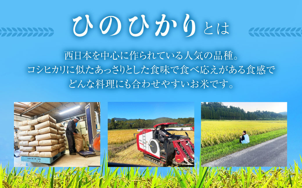 鹿児島県産 ひのひかり 無洗米 5kg×1袋