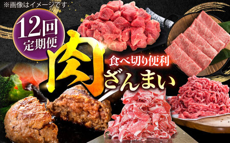 【12回定期便】肉ざんまい定期便（一人暮らし向け・少量） / 牛肉 [IAX051]