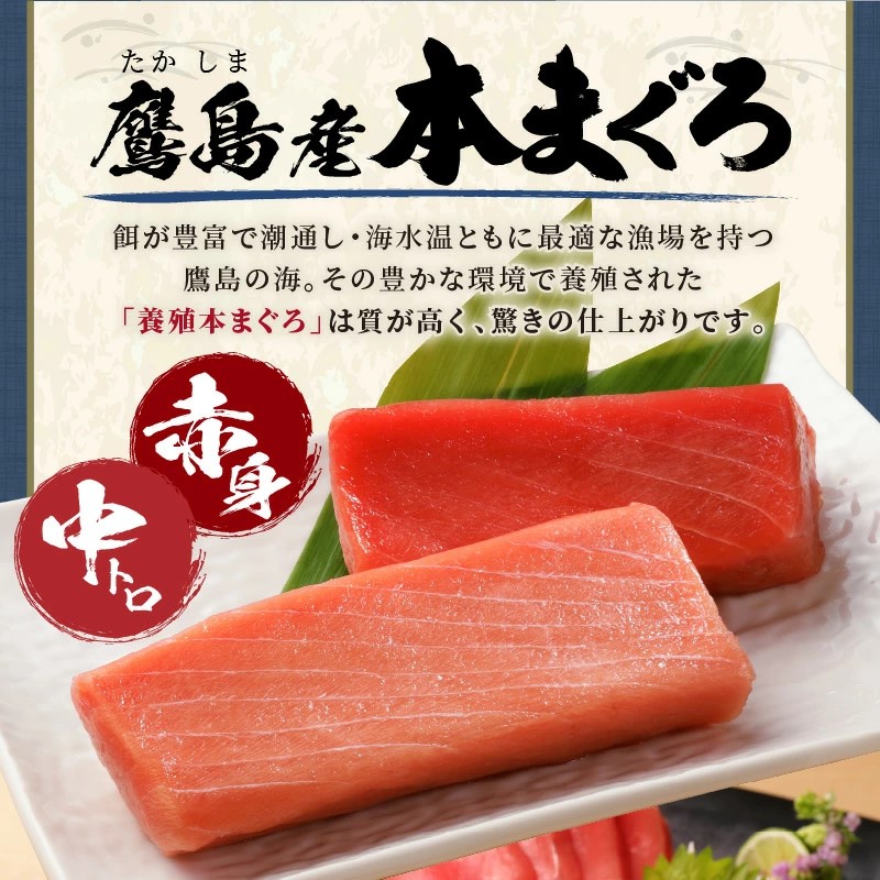 鷹島本まぐろ柵(赤身・中トロ) 合わせて350g( マグロ まぐろ 中トロ 赤身 本まぐろ 手軽 おつまみ 柵 流水解凍 )【B4-127】
