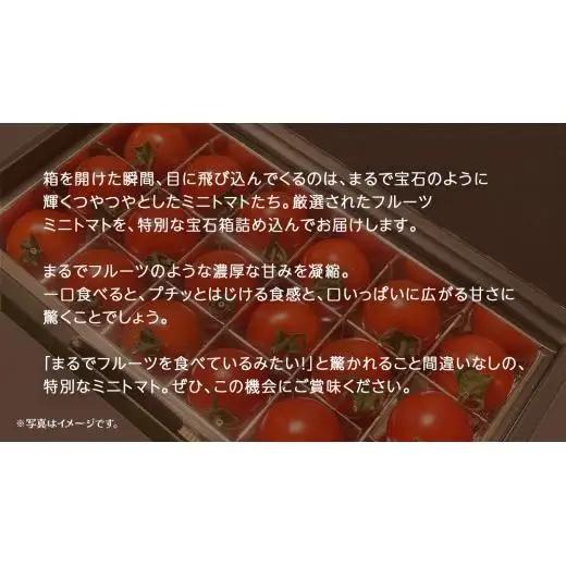 フルーツ ミニトマト の宝石箱 36粒 (茨城県共通返礼品：大子町) 野菜 フルーツ 旬 季節限定 期間限定