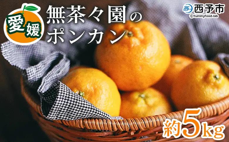 【先行予約】＜無茶々園のポンカン 約5kg＞ 果物 くだもの フルーツ ぽんかん みかん 蜜柑 柑橘類 かんきつ 旬 甘い 濃厚 新鮮 期間限定 季節限定 産地直送 特産品 愛媛県 西予市 【常温】『2027年1月～2月中旬に順次出荷予定』AMC0061