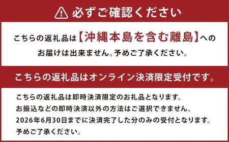 ニューピオーネ 2kg 早採れ（ハウス栽培） ぶどう 葡萄 フルーツ 果物 岡山県 岡山県産 2026年 先行予約 【2026年7月上旬-7月下旬発送予定】