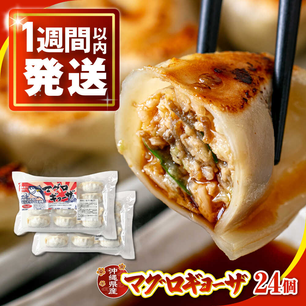 【ふるさと納税】冷凍マグロギョーザ 24個(12個入り2パック) 餃子 冷凍 国産 マグロ 沖縄産 沖縄市 7000円 / 沖縄市漁業協同組合 パヤオ直売店[BCDZ003] セット・詰め合わせ 手作り
