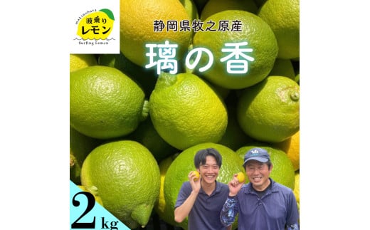 事前受付 牧之原産 波乗りレモン 璃の香 2kg 国産 Lemon 檸檬 柑橘類 柑橘 フルーツ 果物 酸っぱい 果肉 酸味 防腐剤不使用 静岡県 牧之原市 防カビ剤･ワックス不使用
