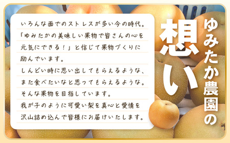 【先行予約】豊水梨 1箱 5kg入り (8～12玉) 樹上完熟！濃厚な甘さに手が止まらない！甘～いゆみたかの豊水梨 【2025年8月中旬以降順次発送予定】【梨 和梨 赤梨 なし フルーツ 甘い みずみ