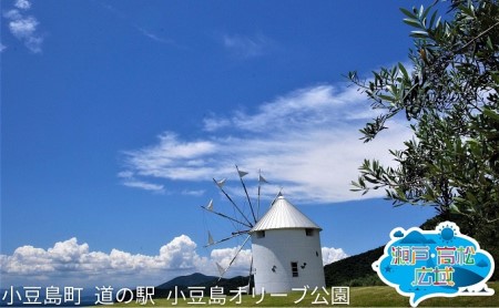 旅行券 貸切クルーザー 香川県 小豆島 観光 旅行券【2日間】