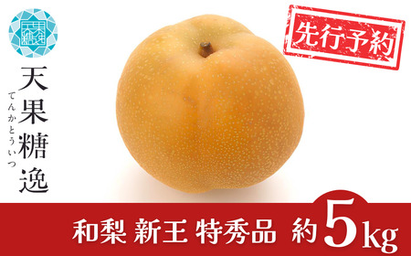 先行予約 和梨 新王 特秀品 約5kg 糖度13度以上を厳選 令和8年度 新潟県産 天果糖逸 JAえちご中越