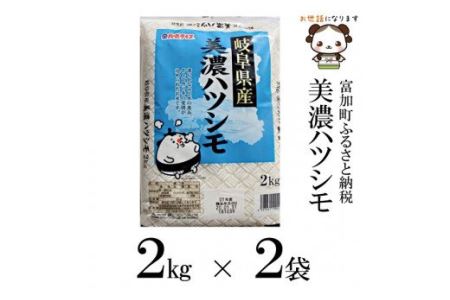 【8026】美濃ハツシモ4kg　令和４年度産