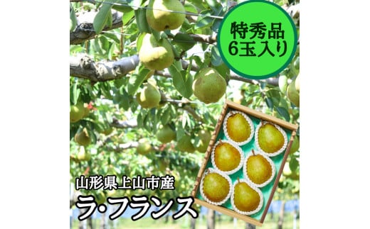 西洋梨（ラ・フランス）　６玉　特秀品　0055-2519