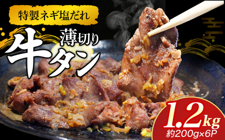 特製ネギ塩だれ 薄切り牛タン 1.2kg （肉 牛肉 牛タン 薄切り 塩だれ ネギ ヘルシー 人気 宮崎県小林市）