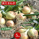 【ふるさと納税】【新たまねぎ】名手農園の淡路島特産玉ねぎ 5kg【発送時期：2025年3月～5月頃】