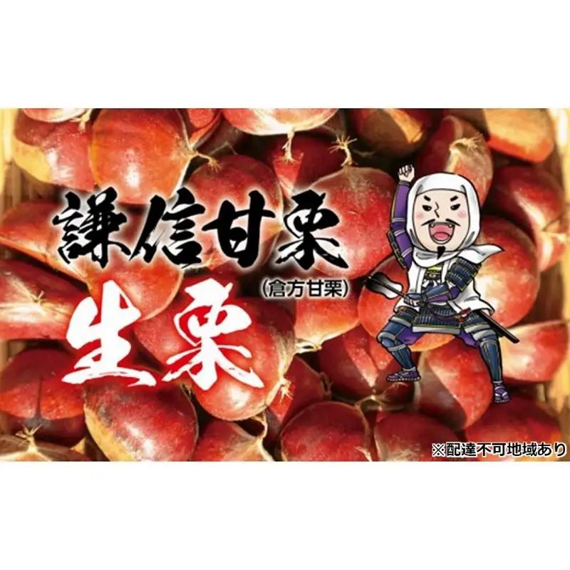 謙信甘栗の氷蔵熟成栗 1kg【氷蔵熟成栗謙信甘栗】 新潟 新潟県産 宮沢栗農園