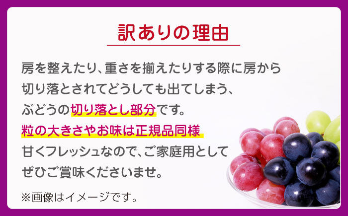 【先行予約】 【3回定期便】 訳あり 毎月違うぶどうをお届け！ ぶどう3種 食べ比べ 切り落とし 約700g 【合同会社 社方園】 [ZBZ048]