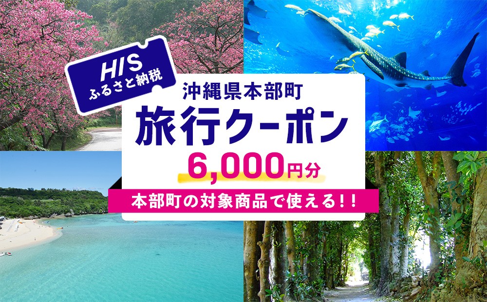 
                  【沖縄県本部町】HISふるさと納税旅行クーポン 6,000円分
                