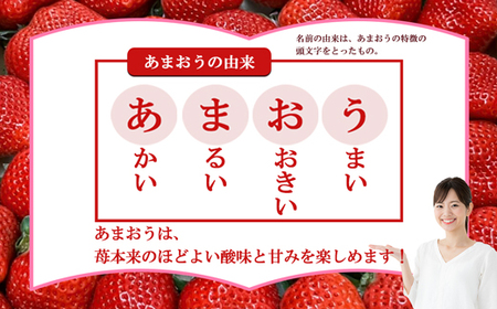 【3回届く！（4月～6月）】福津産『空飛ぶあまおう』約1,080g×3回定期便【スカイフローラファーム】[G7056]