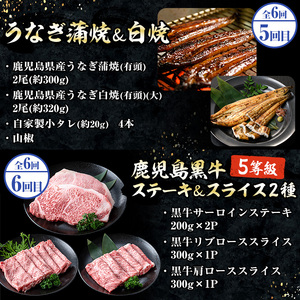 ＜6ヶ月定期便＞いちき串木野プレミアム定期便（マグロ・鰻・牛肉）【PT-004H】