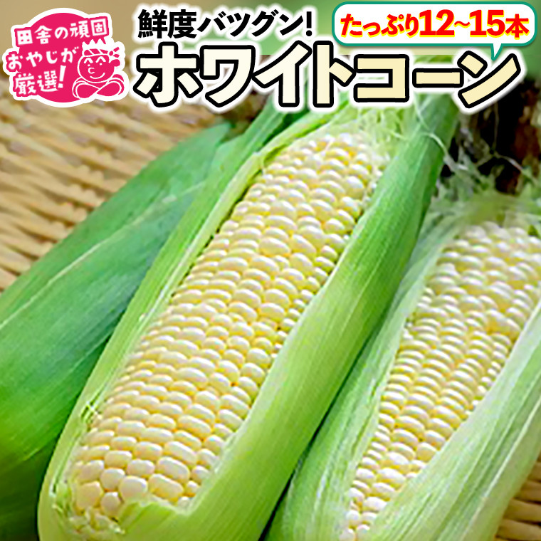 
田舎の頑固おやじが厳選！もろこしはこれだっぺセット！とうもろこし（ホワイトコーン）【令和3年7月下旬から順次お届け】
