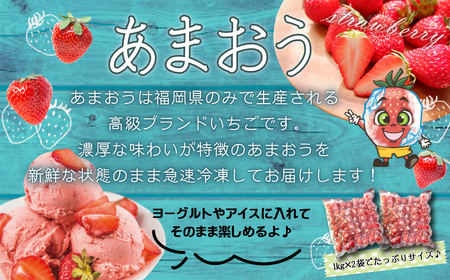 冷凍 あまおう カチカチ君 (1kg×2袋)  冷凍あまおう いちご 苺 冷凍いちご 3W14