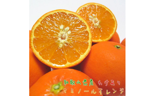 
                  有田育ちの セミノールオレンジ (ご家庭用) 約5kg［先行予約・2027年4月～発送］［MS56］
                