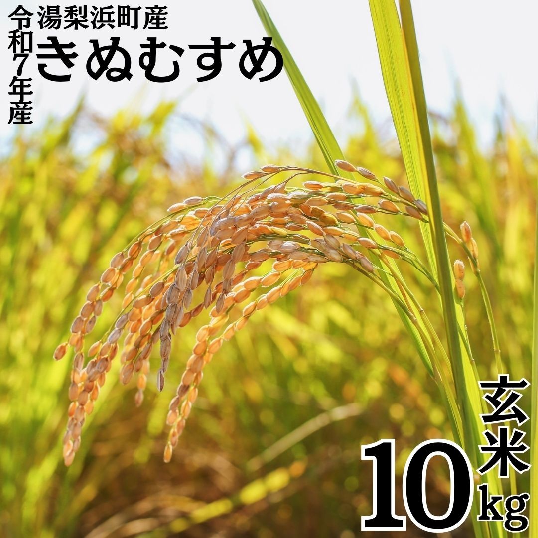 
            350K.湯梨浜町産◇きぬむすめ◇玄米10kg◇令和7年産
          
