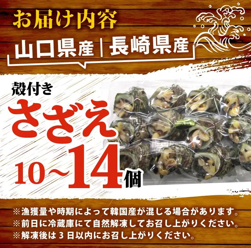 冷凍 お造り サザエ 酒粕和え 10～14個 冷凍 下関 山口 《さわ水産：SW》 SW-SZ005
