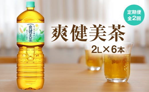 『定期便：全2回』爽健美茶2L×6本