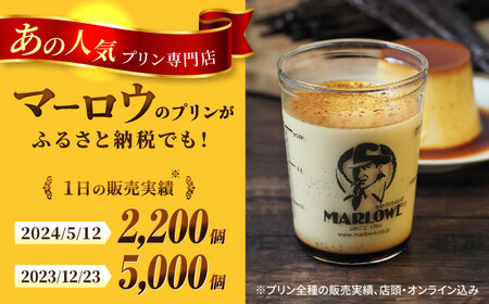 【全12回定期便】葉山ビーカープリン おすすめプリン180g×5個セット [AKAF040]プリン