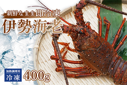 伊勢海老 ( 冷凍 ) お味噌汁用 約 400g エビ えび 家庭用 訳あり