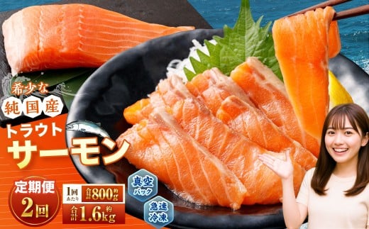 【2回定期便】 国産 トラウトサーモン 計約1.6kg （約200g×4パック）×2回 サーモン 新鮮 小分け 真空パック 急速凍結 国内養殖 冷凍