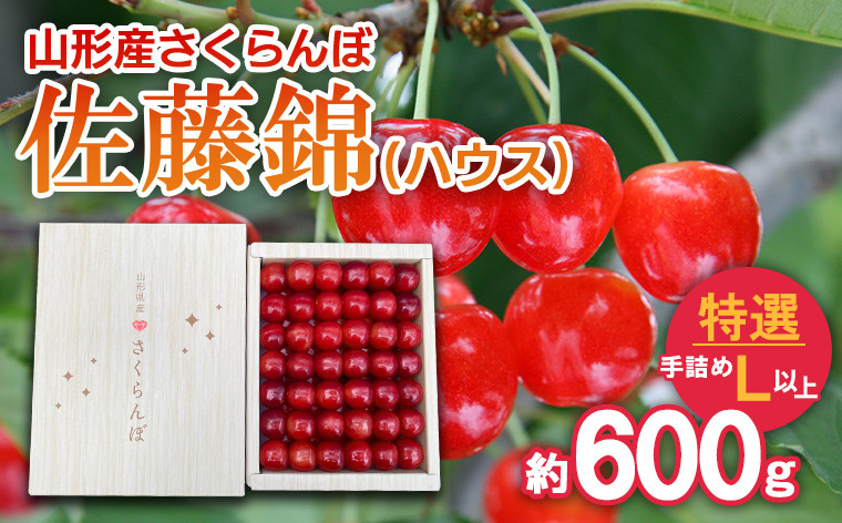 
            さくらんぼ 佐藤錦 (ハウス) 特選 手詰め L以上 約600g 【令和7年産先行予約】FS24-627くだもの 果物 フルーツ 山形 山形県 山形市 2025年産
          