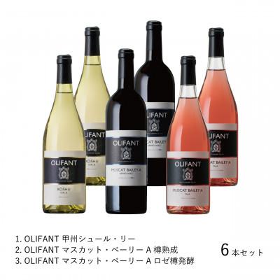 ふるさと納税 大月市 【蔵元直送】笹一酒造のOLIFANT(オリファン)ワイン＜赤・白・ロゼ＞6本セット・山梨県大月市 |  | 01