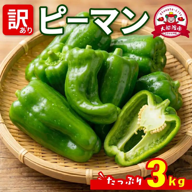 訳ありピーマン3kg [7-9月発送]