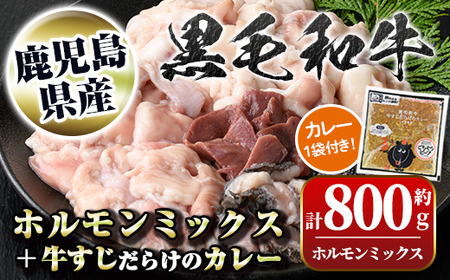 【A91031】黒毛和牛ホルモンミックス(計800g)＋黒毛和牛牛すじだらけのカレー(1袋)セット！ 鹿児島 国産 牛肉 黒毛和牛 牛肉専門店 和牛日本一 惣菜 おかず 牛すじ ホルモン ミックス レトルトカレー ご当地カレー【新村畜産】