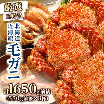 ふるさと納税 八雲町 3特毛ガニ 550g前後×3尾 海鮮 北海道 八雲町