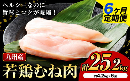 【6ヶ月定期便】 九州産若鶏ムネ肉 600g×7袋×6回 計25.2kg 鶏肉 お肉 ムネ肉 むね肉 小分け 冷凍 九州産 国産 熊本県 菊池市 送料無料《お申込み翌月から出荷》