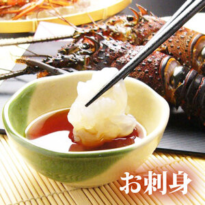 冷凍 伊勢海老 約800g 1尾 活〆 特大 伊勢えび 伊勢エビ イセエビ 海老 えび エビ ebi いせえび 魚介 海鮮 海産物 海 特産品 うま味 旨味 海の幸 アウトドア BBQ 刺身 炭火焼 