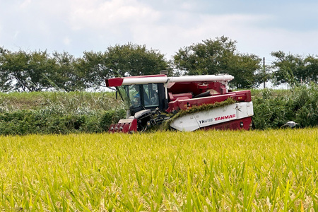 新米【令和7年産】稲敷市産 にじのきらめき 無洗米 10kg (5kg×2袋)｜お米 おこめ 精米 無洗米 直送 稲敷 茨城 [1825]