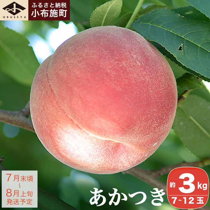 【ふるさと納税】 ＜先行予約＞ 桃 あかつき 約3kg 7～12玉 ［小布施屋］ もも モモ フルーツ 果物 先行予約 3kg 長野県産 信州産 クール便 冷蔵便 令和7年産【2025年7月末頃～8月上旬発送】