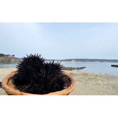 ふるさと納税 久慈市 【牛乳瓶入り!ミョウバン不使用!】生うに180g　36-2 |  | 02