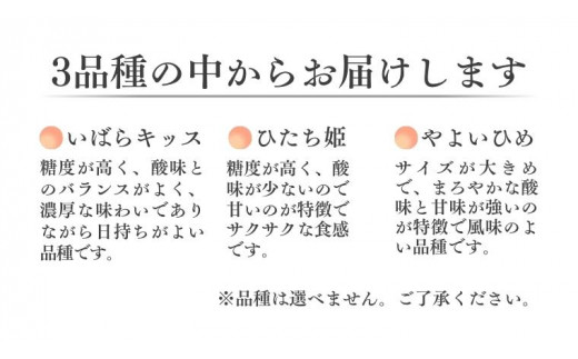 《 2027年 収穫分 》 朝摘み いちご3種 食べ比べ 約260g×2パック (茨城県共通返礼品 常陸太田市) 先行予約 檜山いちご園 国産 朝採り 朝採れ いちご イチゴ 苺 くだもの 果物 フル