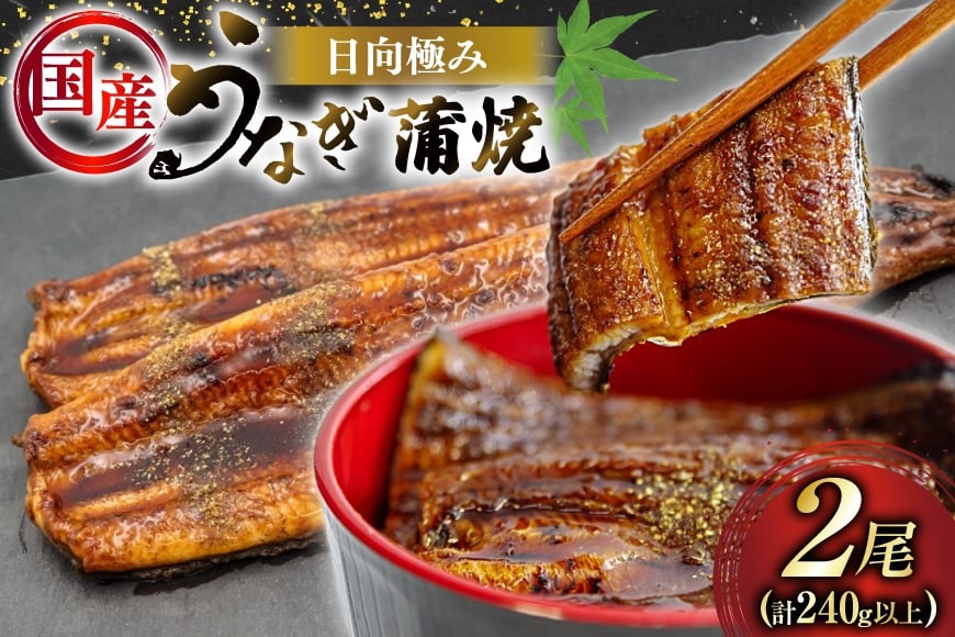 
            うなぎ 国産 日向極み うなぎ蒲焼 2尾 計240g以上 【たれ・山椒付き】 [日向サンパーク 宮崎県 日向市 452061502] ギフト 小分け 真空パック 鰻 ウナギ うなぎの蒲焼 蒲焼 蒲焼き
          