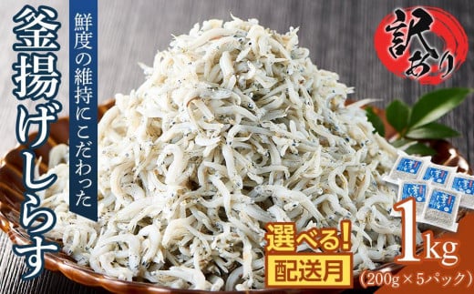 釜揚げしらす(訳あり)1.0kg(200g×5P)【11月発送予定】